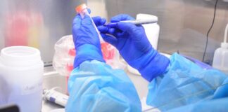 Aumentan casos de COVID-19 en Tamaulipas, detectan 221 pacientes positivos