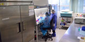 Registra SST 322 nuevos casos de COVID y 29 defunciones