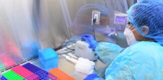 COVID-19 en Tamaulipas, confirma Salud 358 nuevos casos