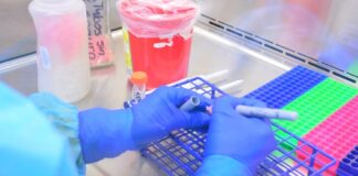 Pide SST no evadir la realidad ante pandemia: ocupación hospitalaria se agudiza