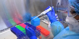 Exhorta SST atender nuevas disposiciones para reducir movilidad y altas concentraciones de personas