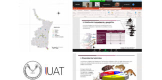 Exponen en conferencia la diversidad de parásitos de los peces