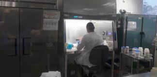 Reporta SST 96 casos positivos a COVID-19 de la segunda parte de la jornada del miércoles