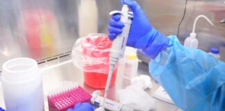 Reporta SST 309 nuevos casos positivos a COVID-19 en el estado