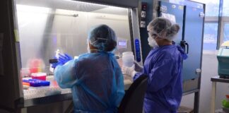 Avanzar a la nueva realidad requiere la participación de todos afirma SST