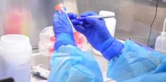 Llama Salud a quedarse en casa el mayor tiempo posible, el COVID-19 es una realidad