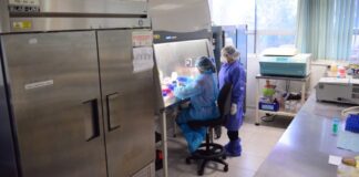 Confirman 289 nuevos casos de COVID-19 en Tamaulipas