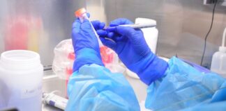 Diagnostican 191 nuevos casos de COVID-19 en Tamaulipas, no bajen la guardia, insiste SST