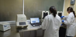 COVID-19: 332 nuevos casos positivos en Tamaulipas, suman 17,644 en total