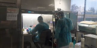 COVID-19 en Tamaulipas suma 302 nuevos casos, pide SST no relajar medidas preventivas