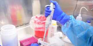 SST registra 232 nuevos casos, llama a quedarse en casa para disminuir impacto de la pandemia