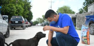 Jóvenes Río Bravo,realizan actividades para alimentar a perros y gatos callejeros
