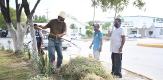 Trabaja personal de parques y jardines en la limpieza y embellecimiento de rotondas,camellones y áreas verdes.