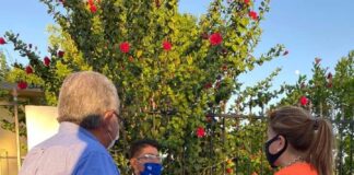 ENTREGA DE PRODUCTOS DE CANASTE BASICA