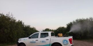 Personal del Departamento de Obras Publicas del Municipio,continúan con labores de fumigaciòn