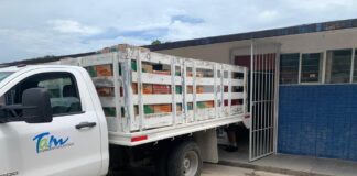 Distribución de Libros de Texto Gratuitos para ciclo escolar 2020-2021