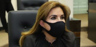 Negativa del ejecutivo federal,al no ceder para la transición de energías contaminantes y fósiles a energías limpias : Roxana Gómez
