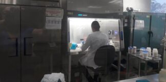 Fases de la nueva realidad requieren la participación de todos, extremen precauciones: SST