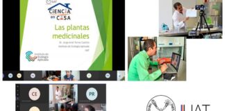 Imparte la UAT talleres virtuales de ciencia para niños