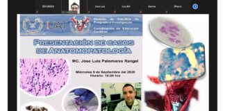 Imparte UAT temas sobre patologías en animales domésticos