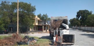 Realizan acciones de chapoleo y retiro de ramas en diferentes arterias de la ciudad