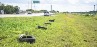 Río Bravo,sigue en marcha con intenso programa de reforestación