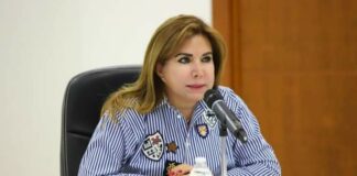 “Es momento de que diputados federales demuestren que están con los tamaulipecos”: Roxana Gómez