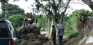 Impulsa Municipio acciones amigables con el medio ambiente