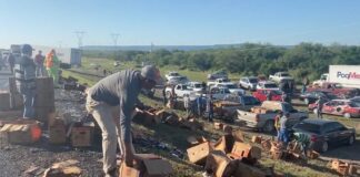 Rapiña de cartones de cerveza