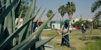 Aplica Municipio rehabilitación integral de espacios públicos