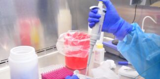 Fase II de reapertura económica requiere de extremar medidas preventivas contra COVID-19