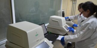 Urge SST extremar precauciones por nueva fase de reapertura económica para evitar rebrotes de COVID-19