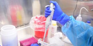 Tamaulipas reporta este domingo 74 nuevos casos de coronavirus