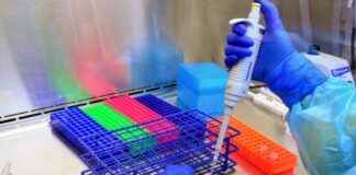 Riesgo de rebrote por COVID-19 es real, eviten salidas innecesarias, advierte Salud