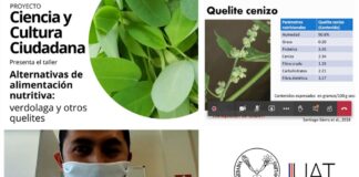 Destacan investigadores de la UAT importancia de la alimentación a base de verduras alternativas