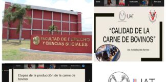 Influye estrés en la calidad de la carne de bovinos