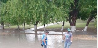 Retira la COMAPA basura de alcantarillas y pluviales