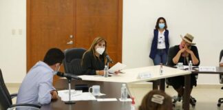 “Urge aplicar fumigación y limpieza, para evitar reproducción del zancudo”: Roxana Gómez