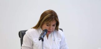 Propone diputada Roxana Gómez que acciones contra cambio climático en Tamaulipas no tengan retroceso