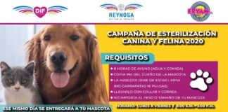 DIF Reynosa invita a la Campaña de Esterilización Canina y Felina 2020
