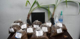 Cuenta Gobierno Municipal con material de composta para entrega gratuita