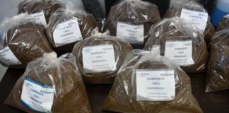 ENTREGARÁ MUNICIPIO COMPOSTA DE MANERA GRATUITA