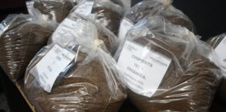 ¿QUIERES MEJORAR TU JARDÍN Y NO SABES COMO? EL GOBIERNO MUNICIPAL TE REGALA COMPOSTA