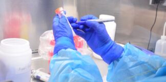 Reuniones sociales y no respetar sana distancia son formas principales de contagio de COVID-19: advierte SST