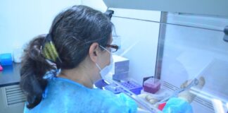 Insiste Salud en evitar reuniones sociales ante riesgo elevado de contagio de COVID-19