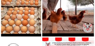 Promueve la FMVZ-UAT tienda de productos frescos y saludables