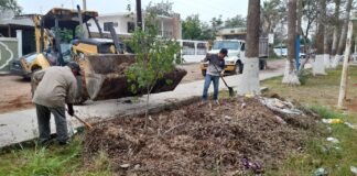 Recupera Ayuntamiento más 24 hectáreas de predios municipales