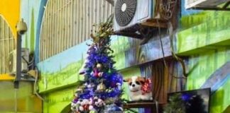 DIF Reynosa entregó apoyos a Casa Hogar MAMI