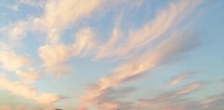 Atendió PCyB incendios el día de Navidad