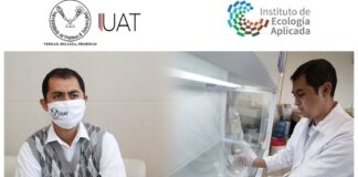 Premia UAT proyecto de biotecnología en manejo de plantas medicinales